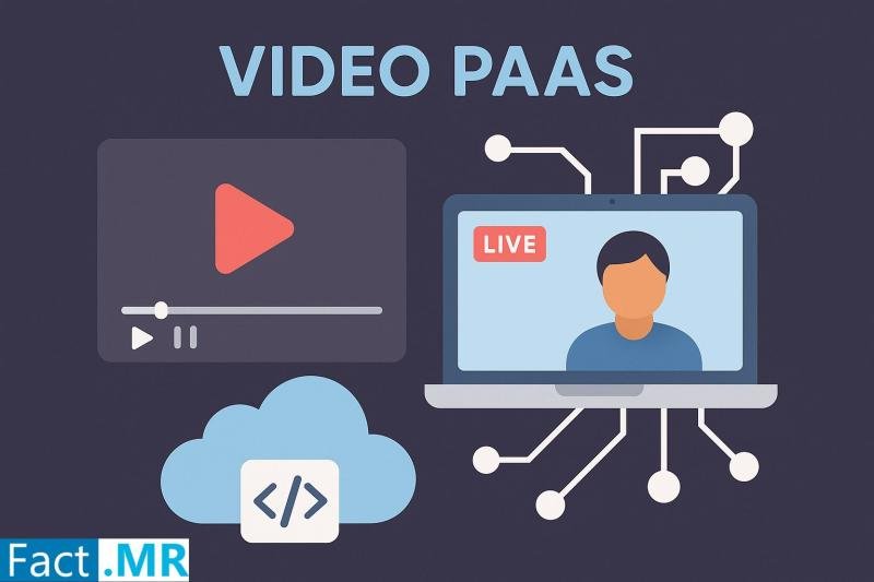 Video PaaS Market Outlook 2024 to 2034: Growth Insights with Vidyo, Sightcall, Sinch, GENBAND, Twilio, TokBox, Agro.io, Xura