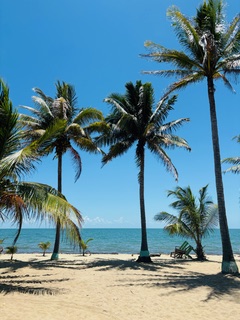 Tianrong Medical Group Inc. (OTC: TNMD) Signs Letter of Intent to Acquire Oceanfront Parcel in Belize for Resort Development